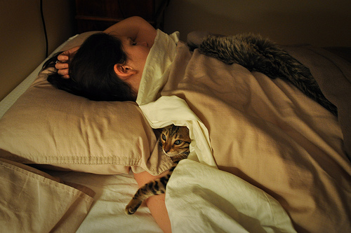 sleeping_with_cat.jpg