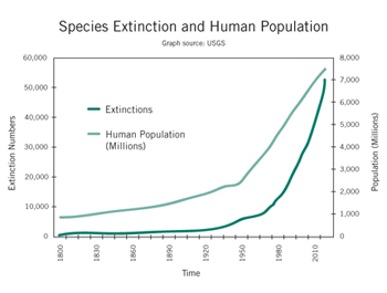 Species depletion essay