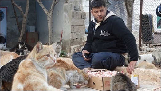 Image result for The Cat Man of Aleppo