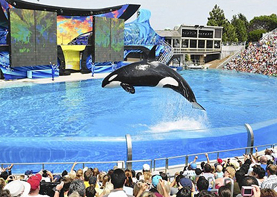 SeaWorld Discloses 'Risk Factors' in IPO - Earth in Transition